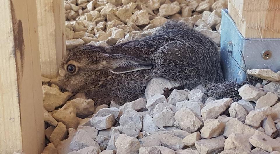 Kompleks Male Dolomity Hucisko  Exteriör bild
