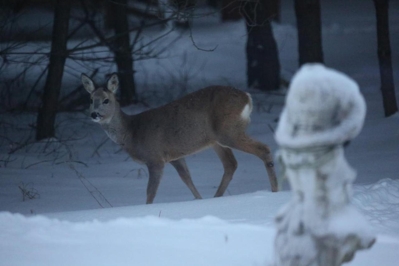 Kompleks Male Dolomity Hucisko  Exteriör bild